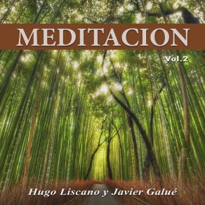 Download track Meditación, Vol. 2 (Instrumental) Hugo Liscano