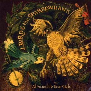 Download track Calico Sparrowhawk