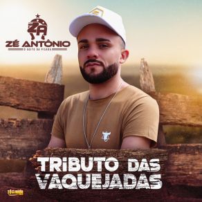 Download track Cheiro Do Mato Zé Antônio