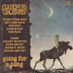 Download track Trying To Find Home Culpeper's Orchard