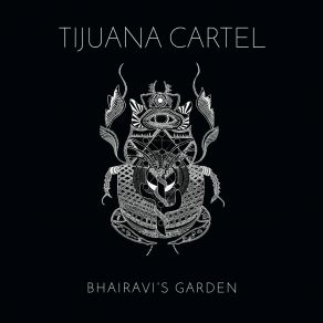 Download track Letting It Go Tijuana Cartel