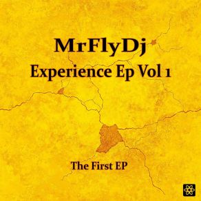 Download track Bassline Mr. Fly DJ