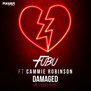 Download track Damaged Cammie Robinson