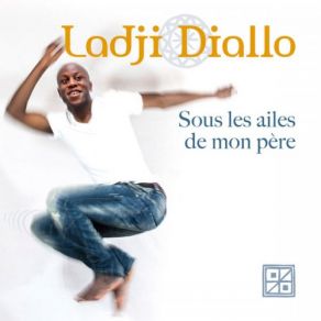 Download track Une Larme Ladji Diallo