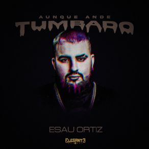 Download track Te Amo Esaú Ortiz