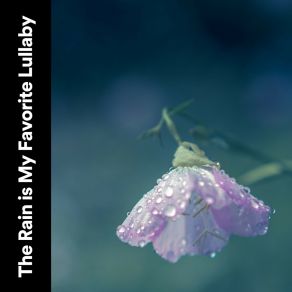 Download track It's Raining Cats And Dogs Meaning Recording Nature