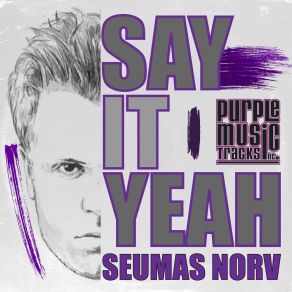 Download track Say It Yeah (Radio Mix) Seaumas Norv