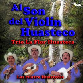 Download track Prieta Chula Trio La Flor Huasteca