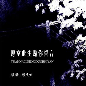 Download track 愿拿此生赌你誓言 (伴奏) 馒头妞