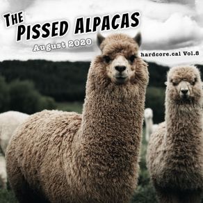 Download track August 15, 2020: National Relaxation Day, World Honey Bee Day The Pissed Alpacas