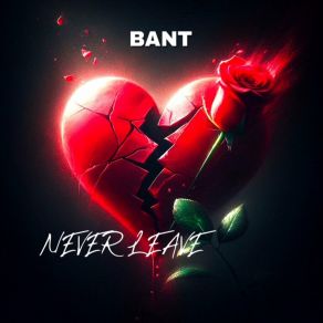 Download track Pain We Feel Bant