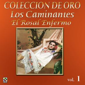 Download track Son Tus Ojos Negros Los Caminantes