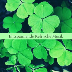 Download track Tradition Und Kultur Keltische Musik Band