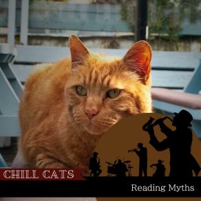 Download track Peaceful Interlude With Books Chill Cats