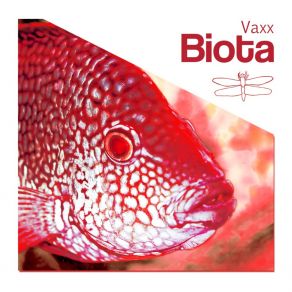 Download track Biota (DJ GrujA Remix) Vaxx