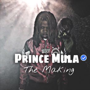 Download track Starz Prince Mula