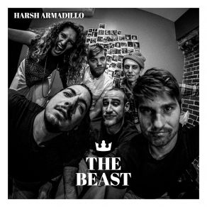 Download track In Between Harsh Armadillo