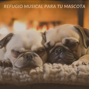 Download track Calmante Canino Sebastián Melodías Relajantes