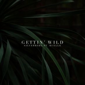 Download track Gettin' Wild Ruelle, Silverberg