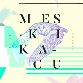 Download track Comfort Hell (Original Mix) Meskikacu