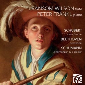 Download track Beethoven: Serenade In D Major Op. 41 - VII. Allegro Vivace Ransom Wilson, Péter Frankl