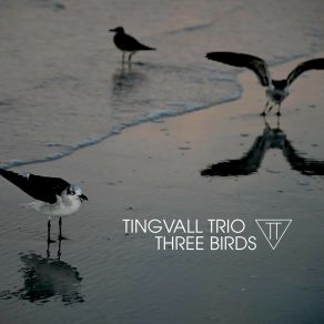 Download track Humming Bird (Rhodes Version) Tingvall Trio