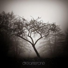 Download track Shadowed Doubt The Sorrow