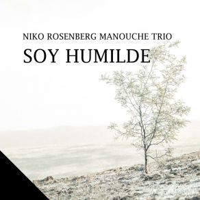 Download track Aim At The Back Niko Rosenberg Manouche Trio