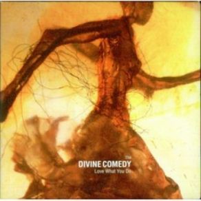 Download track Soul Trader The Divine Comedy