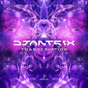 Download track Transcription Djantrix