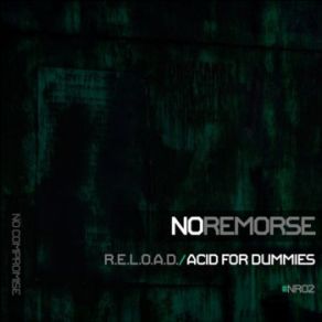 Download track Acid For Dummies (Original Mix) R. E. L. O. A. D.