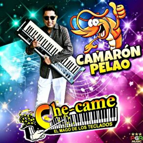 Download track Amor De Mis Amores Che-Came El Mago De Los Teclados