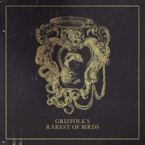 Download track Rarest Of Birds Grizfolk's