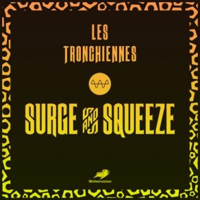 Download track Surge Bobble Remix Les Tronchiennes