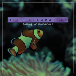 Download track Soothing Fish Tank Sounds, Pt. 16 Craig Hewitt