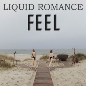 Download track Follow You Liquid Romance