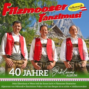 Download track Die Alpenrose Von Mittersill Filzmooser Tanzlmusi