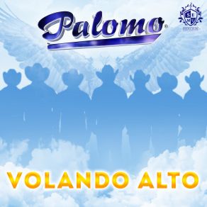 Download track Qué Vas A Decirme Palomo