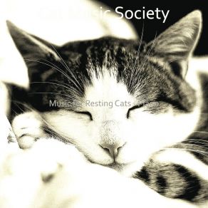 Download track Playful Cats Cat Music Society