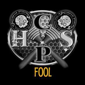 Download track Fool The Honey Shakers