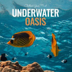 Download track Underwater (Original Mix) Chill N ChillMarga Sol