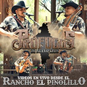 Download track Corazon De Oropel (En Vivo) Profugos De Nuevo Leon