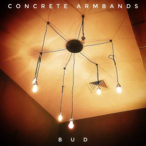 Download track Bud Concrete Armbands