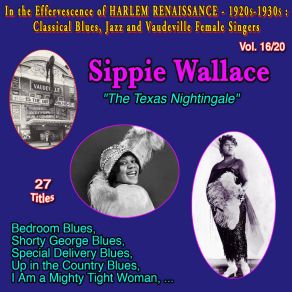 Download track Walkin' Talkin' Blues Sippie Wallace