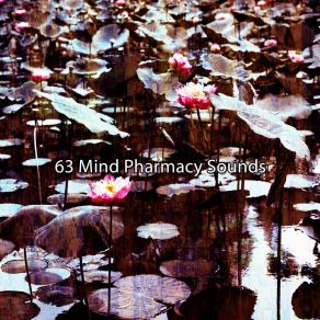 Download track Gathering Mindfulness Asian Zen Spa Music Meditation