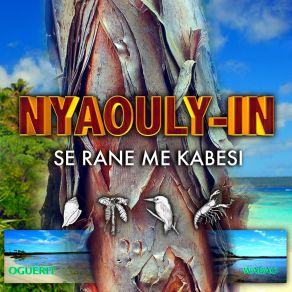 Download track Se Rane Me Kabesi Nyaouly-In