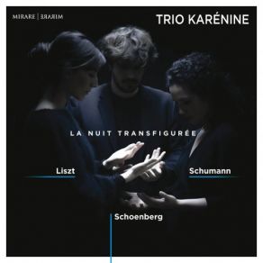 Download track Verklärte Nacht, Op. 4: I. Sehr Langsam Trio Karénine