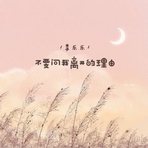 Download track 不要问我离开的理由 李乐乐