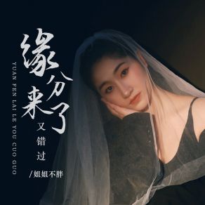 Download track 缘分来了又错过 姐姐不胖