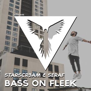 Download track Bass On Fleek (Radio Edit) Starscr3am